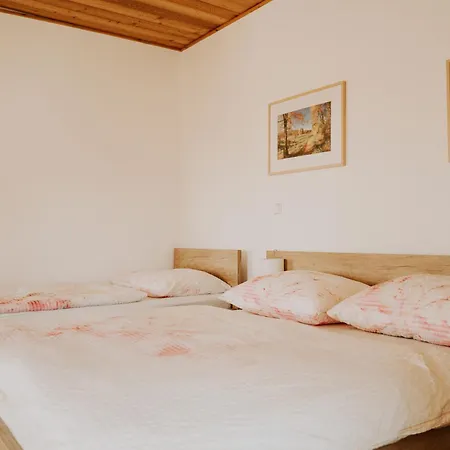 بيت ضيافة Fortovna Castrov