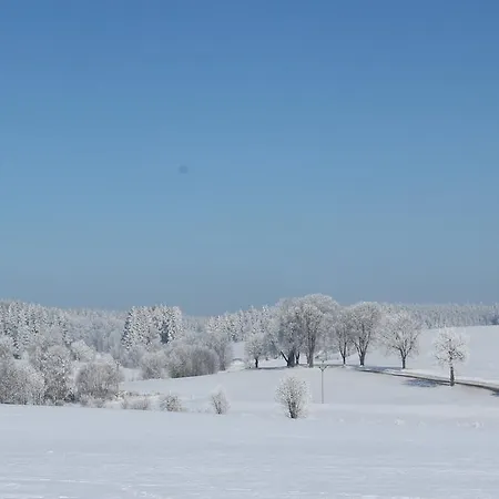 Penzion Fořtovna