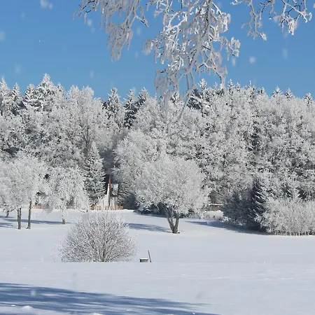 Fortovna Guest house Castrov