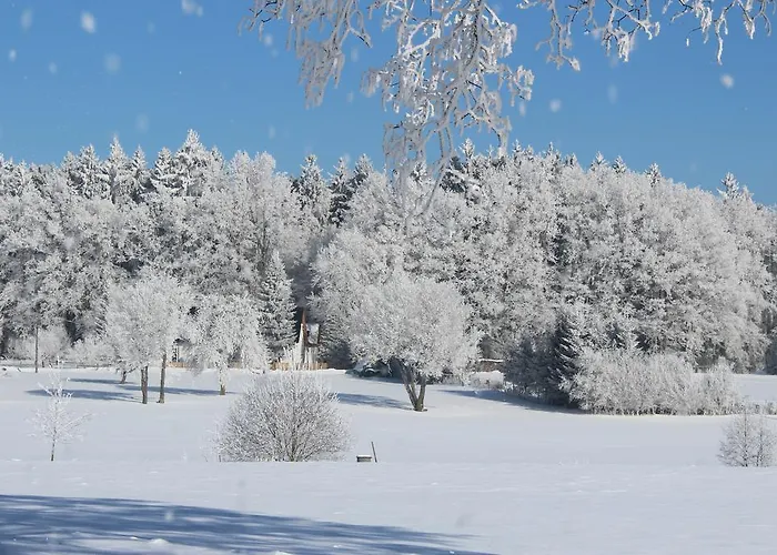 Fortovna Konukevi Castrov